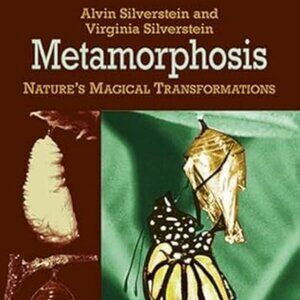 Metamorphosis : Nature's Magical Transformations by Alvin + Virginia Silverstein